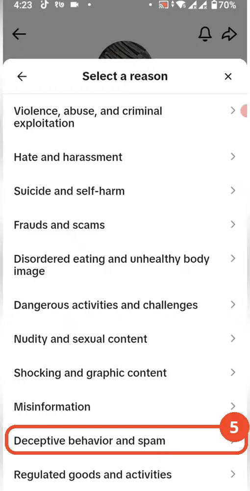 Pick the reason that fits, here Deceptive behavior and spam
