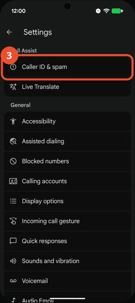 Tap Caller ID and spam in Phone Settings