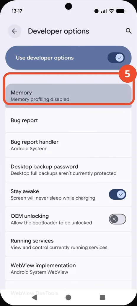 Check the Memory entry in Developer options