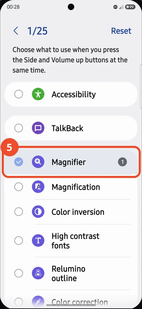 Select Magnifier — it is checked as the assigned shortcut