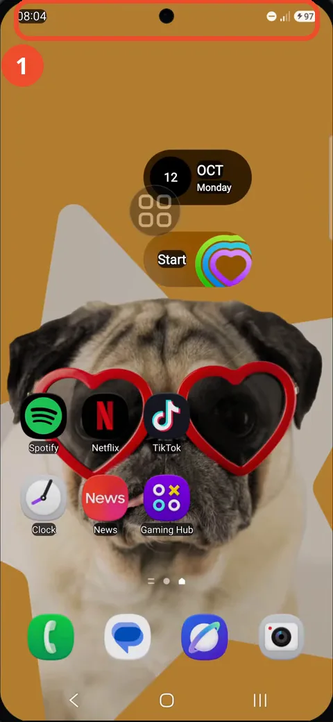Swipe down from the top of the screen
